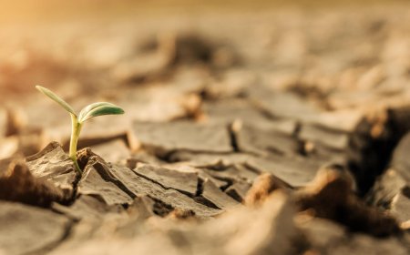 Ülkemizin %73.4’ü Çölleşme Tehlikesi Altında