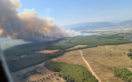 Milas-Bodrum Havalimanı Karşısında Yangın
