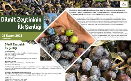 Garaova’da Dilmit Zeytini Şenliği