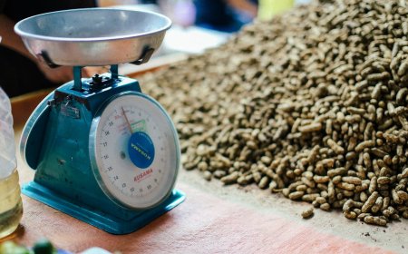 Damga Süresini Doldurmuş Ölçü Ve Ölçü Aletlerinin Periyodik Muayene Müracaatı İçin Son Gün 29 Şubat 2024