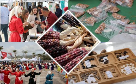 Bodrum Tohum Takas Şenliği Gerçekleşti