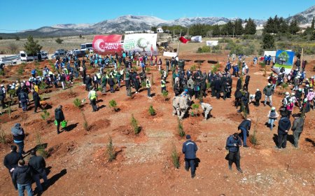 Orman Haftası Etkinlikleri Kapsamında Muğla’da 30 Bin Fidan Toprakla Buluştu
