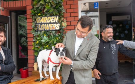 Bu Yaz Denizden Su Arıtmak Zorundayız