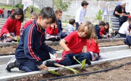 Minik Eller Tarımla Buluştu