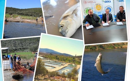 Toprak Havuzlarda Balık Yetiştiriciliğine Geka’dan Önemli Destek