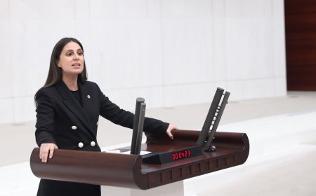 Gizem Özcan’dan Aydın Ayaydın’a: Kadrajı Genişlet Arkandaki Saray, Bakanlar, Trol Orduları Da Gözüksün!