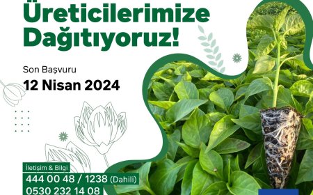 Fide Dağıtımı İçin Son Başvuru 12 Nisan