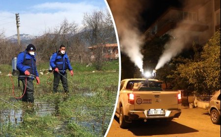 Büyükşehir Vektörle Mücadele Çalışmalarına Devam Ediyor