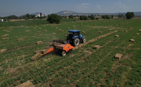 Büyükşehir, Kaba Yem Üretiminde Yılın İlk Hasadını Yaptı, Üreticilere Dağıttı