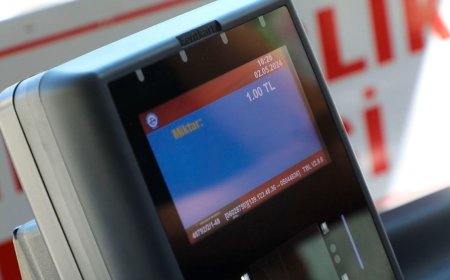 Sakız Parasına Ulaşım Hizmeti