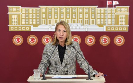 CHP Muğla Milletvekili Süreyya Öneş Derici'den Göçmen ve Sığınmacılar Hakkında Üç Soru Önergesi