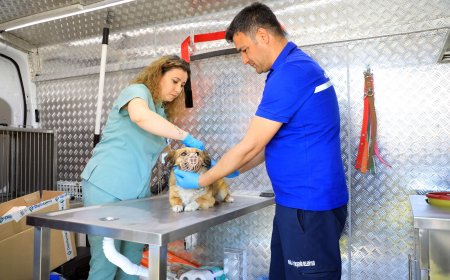 Can Dostlar İçin Acil Müdahale Aracı Yollarda