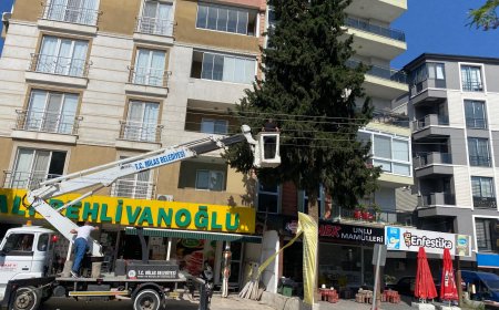 Milas Belediyesi Elektrik Kesintisini Fırsata Çevirdi,  Ağaç Dallarını Budayarak Güvenliği Sağladı