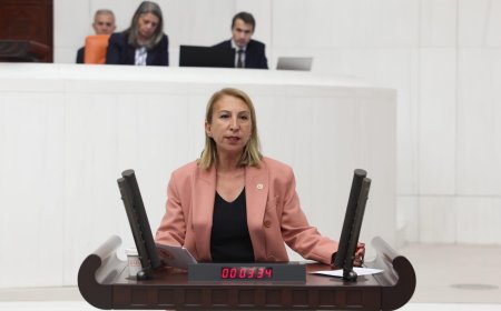 Muğla Milletvekili Süreyya Öneş Derici, Bodrum Kızılağaç'ta Limak İnşaat'ın Planladığı Turizm Tesisi Projesine Karşı TBMM'ye Soru Önergesi Verdi