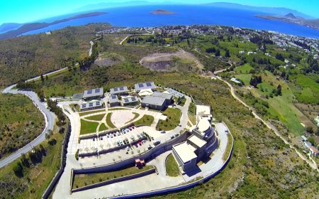 Muğla’da Sürdürülebilirlik Festivali Düzenleniyor