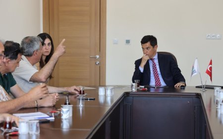 Yaban Domuzları İçin Çözüm Yolları Aranıyor