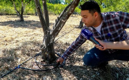 Tarımsal Üretimde Su Tasarrufu