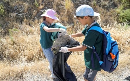 Minik Eller, Mazı Sahilini Temizledi