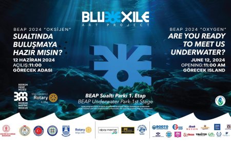 Bodrum Görecek Adası’nda Sualtı Parkı Açılıyor