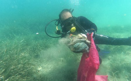 Turgutreis’te Deniz Dibi Temizliği