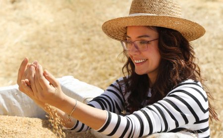 Kaybolmaya Yüz Tutmuş Karakılçık Buğdayımızın Üretimini Yeniden Artıracağız