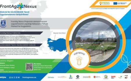 Kuraklıkla Mücadelede Hidroponik Tarım Çalışmaları