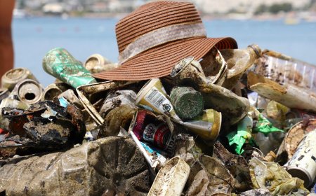 Gümbet’te Deniz Dibi Temizliği