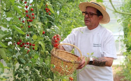 Bodrium Bahçe'den Doğal ve Organik Lezzetler