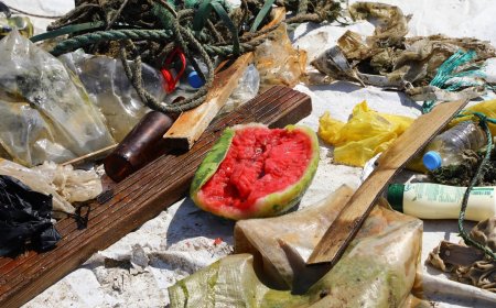 Güvercinlik’te Deniz Dibi Temizliği