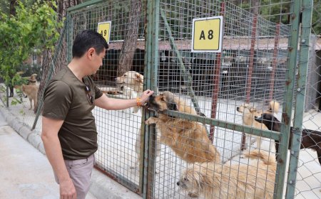 Ünlü’den Yeni Yasaya Videolu Tepki
