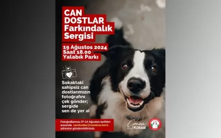Menteşe Belediyesi’nden “Can Dostlar Farkındalık Sergisi”