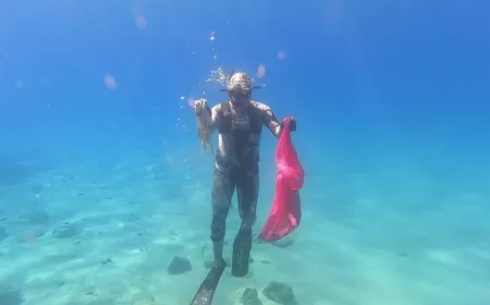 Çiftlik’te Deniz Dibi Temizlendi