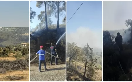 Muğla Büyükşehir Belediye Başkanı Ahmet Aras: "Milas'ta Yaşanan Orman Yangını İçin Derin Üzüntü Duyuyoruz"
