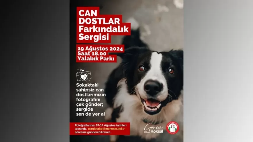 Menteşe Belediyesi’nden “Can Dostlar Farkındalık Sergisi”