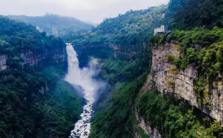 Galip Arduç "Geçmişten Geleceğe Sürdürülebilirlik ve Koruma"