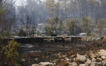 Büyükşehir Yangından Etkilenen Arıcılara Destek Olacak