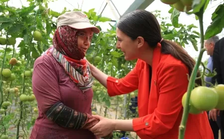ÖZCAN:776 Bin Hektar Ekilemeyen Tarım Arazisinin Ne Kadarı Muğla İli Sınırları İçerisinde Yer Almaktadır