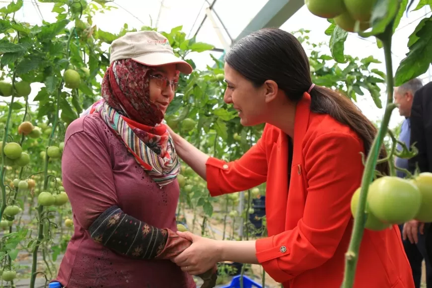 ÖZCAN:776 Bin Hektar Ekilemeyen Tarım Arazisinin Ne Kadarı Muğla İli Sınırları İçerisinde Yer Almaktadır