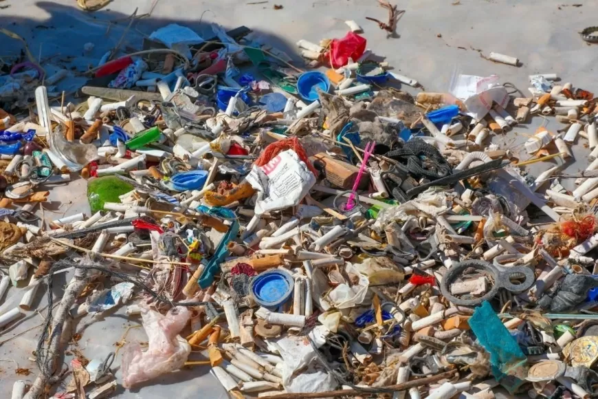 Gerenkuyu’da MLW (Marine Litter Watch) Etkinliği