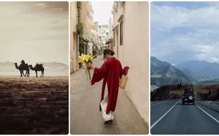 Göç, İnsan, Toprak