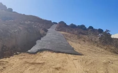 Şimdi De Kaçak Yol Yaptılar