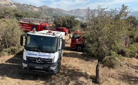 Bodrum Gümüşlük Mahallesi’nde Yangın: Burgaz Mevkisi Alevlere Teslim Oldu
