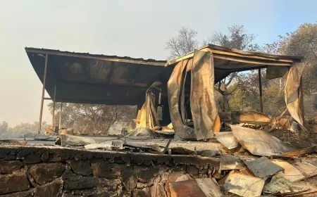 Başkan Köksal Turnalı Yangın Bölgesinde