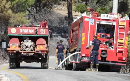 Büyükşehir Yangınlara Tüm Gücüyle Müdahale Etti