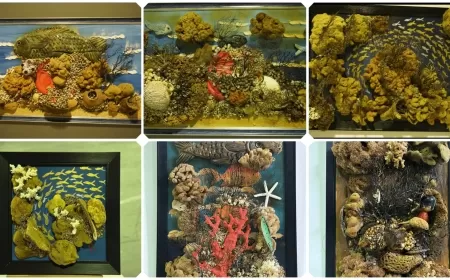 Dr. Vedat Akman’ın “Katmanların Dansı” Sergisi Sokak Hayvanları Yararına Bodrum’da Sanatseverlerle Buluştu