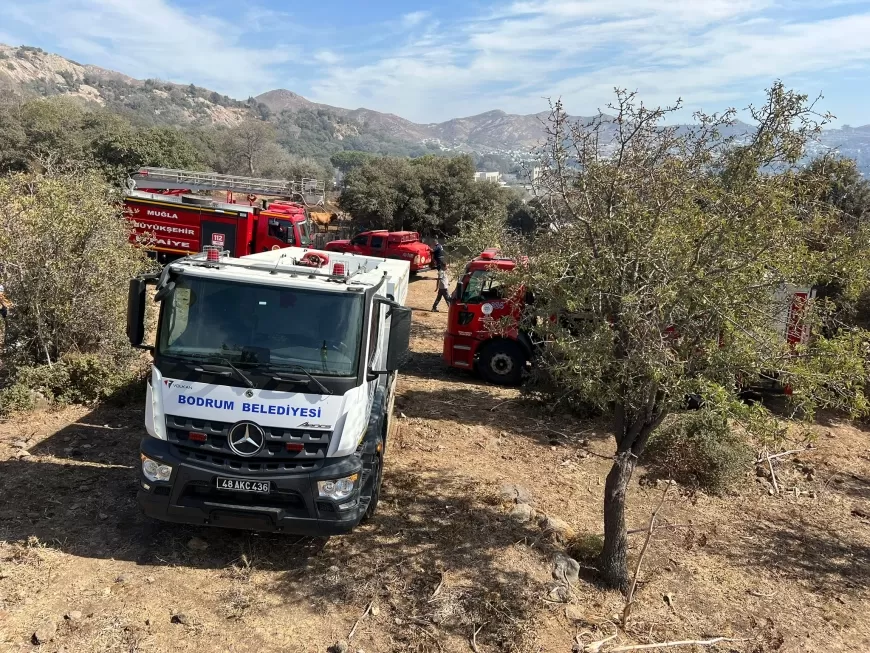 Bodrum Gümüşlük Mahallesi’nde Yangın: Burgaz Mevkisi Alevlere Teslim Oldu