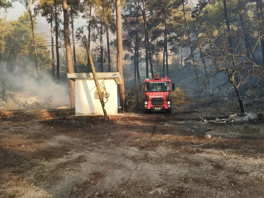 Büyükşehir Orman Yangınlarında Tüm Gücüyle Sahada