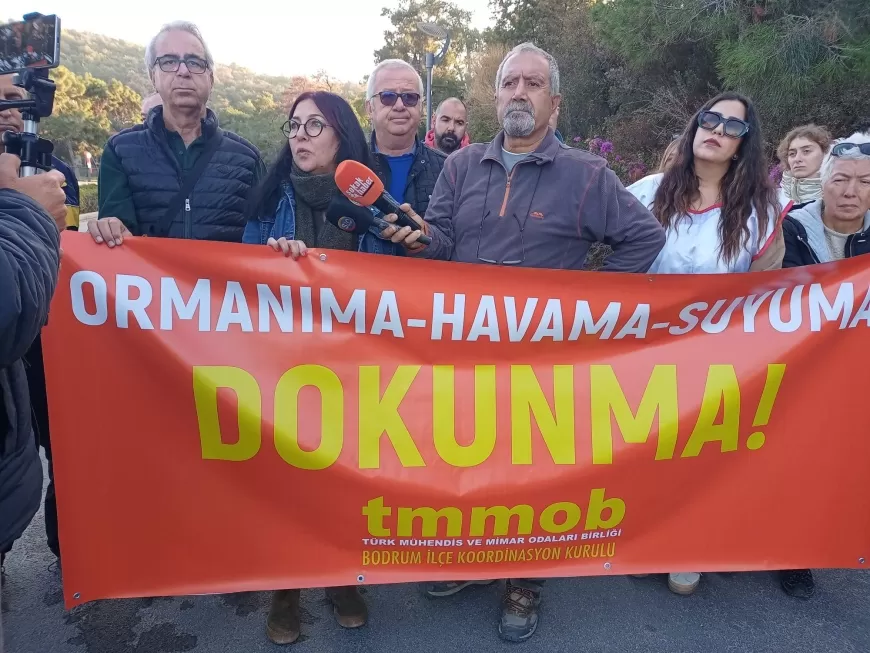 TMMOB Bodrum’da Orman Yağmasına Karşı Ayakta! Doğaya ve Anayasaya Sahip Çıkıyor