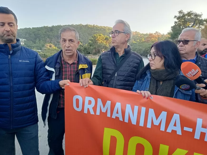 TMMOB Bodrum’da Orman Yağmasına Karşı Ayakta! Doğaya ve Anayasaya Sahip Çıkıyor