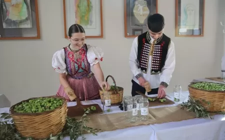 Zeytin Ağaçlarının Gölgesinde Barış ve Dostluk Buluşması